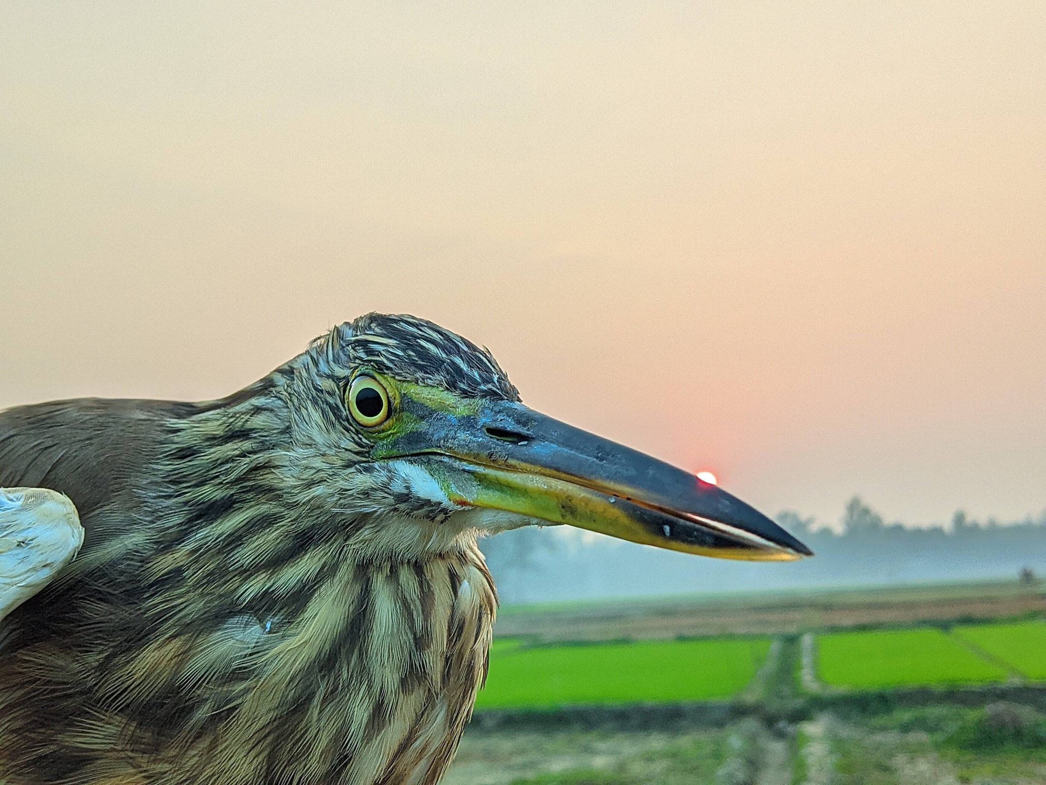 ১৬ ডিসেম্বর, ২০২২