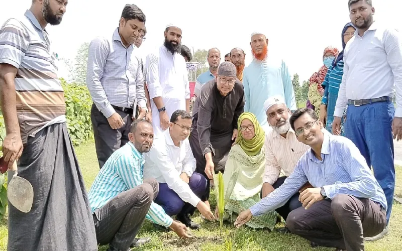 বজ্রপাত প্রতিরোধে সরিষাবাড়ীতে তাল গাছের চারা রোপণ