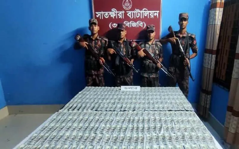 সাতক্ষীরা সীমান্তে ৩০ হাজার মার্কিন ডলার জব্দ করেছে বিজিবি