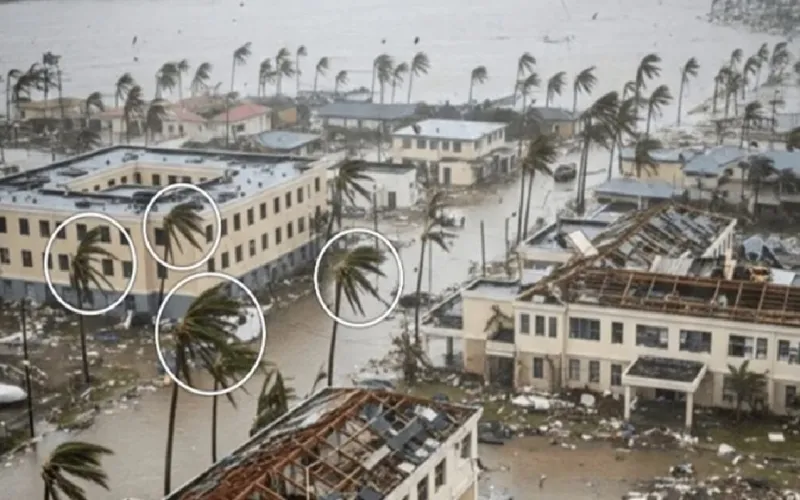 হারিকেন মেলিসাকে ঘিরে সামাজিক যোগাযোগমাধ্যমে ছড়াচ্ছে ভুয়া এআই ছবি