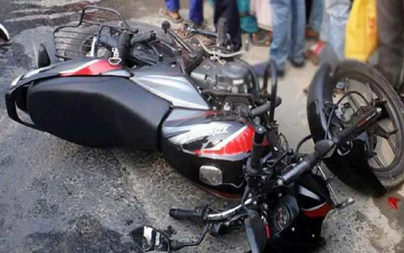 দলীয় সভা শেষে ফেরার পথে ট্রাকচাপায় ৩ বিএনপিকর্মী নিহত