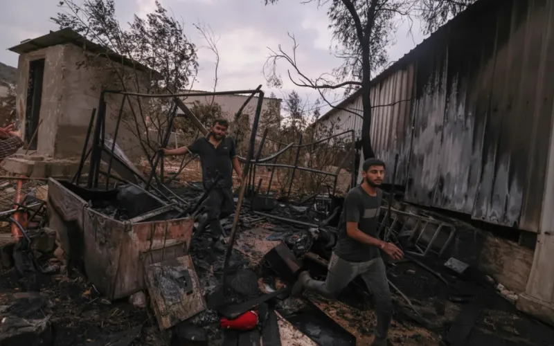 পশ্চিম তীরে ফিলিস্তিনিদের ওপর ইসরায়েলি সেটলারদের ভয়াবহ হামলা