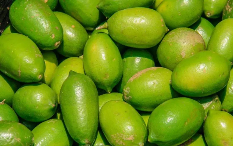 এক হালি লেবু ২০০ টাকা