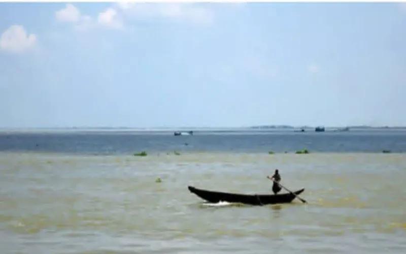 সুরেশ্বর ঘাটে পদ্মায় গোসল করতে গিয়ে বৃদ্ধার মৃ'ত্যু!