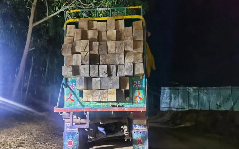 দীঘিনালায় সেনাবাহিনীর  সাঁড়াশি অভিযানে ৬ লক্ষ টাকার অবৈধ কাঠ জব্দ